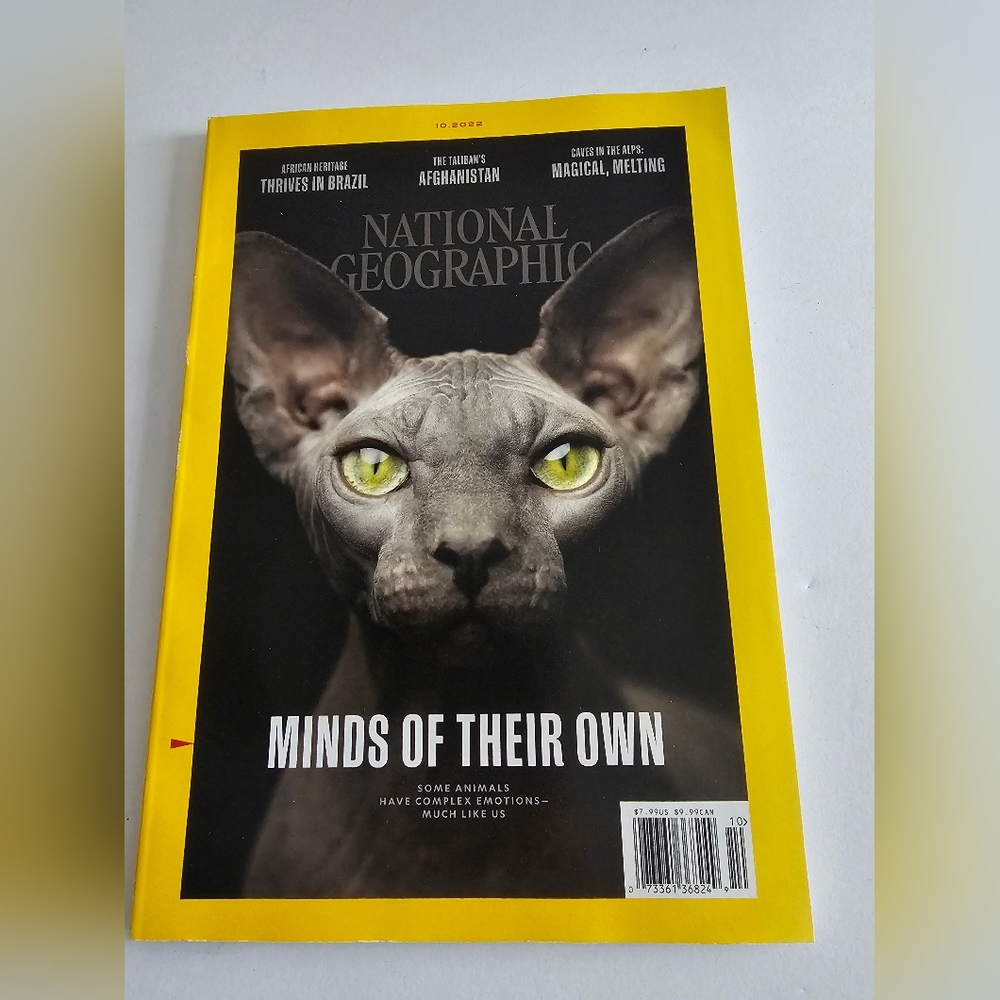 National Geographic October 2022 - Minds of Their Own - Sphynx Cat Cover